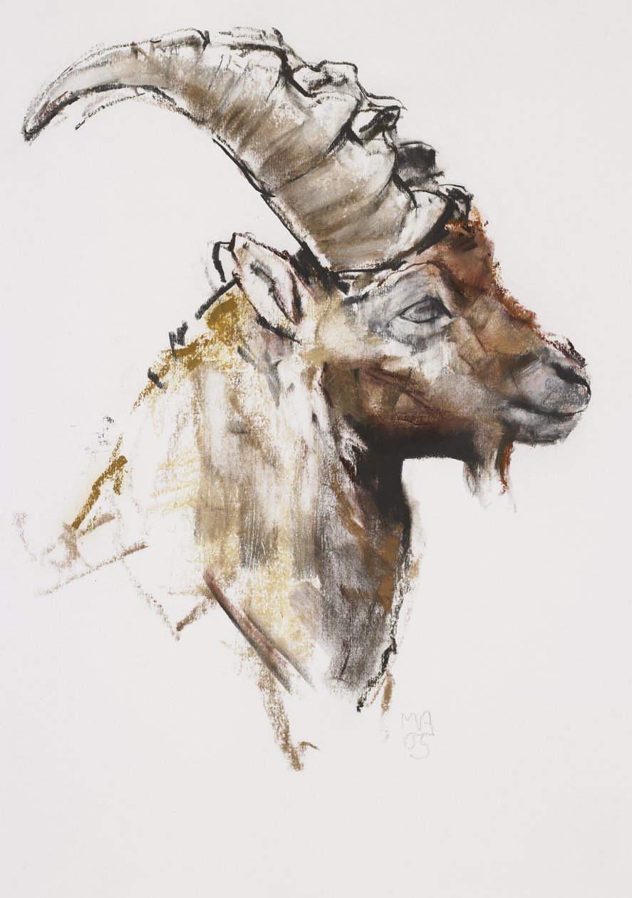जियोवान्टो, 2005 (कागज पर चारकोल ईएनई द्वारा मार्क एडलिंगटन