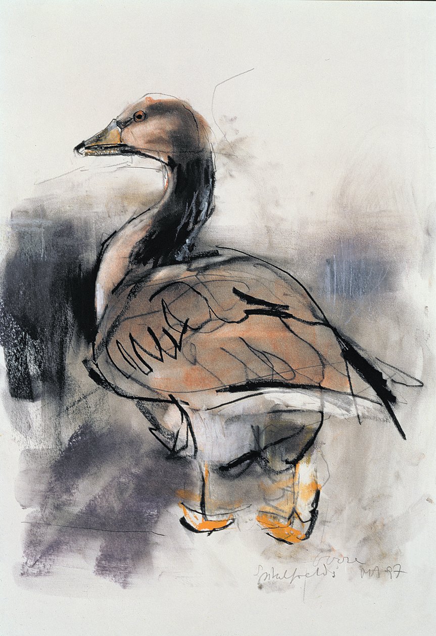 Spitalfields Goose, 1997 (ग्रेफाइट और कागज़ पर कागज) द्वारा मार्क एडलिंगटन