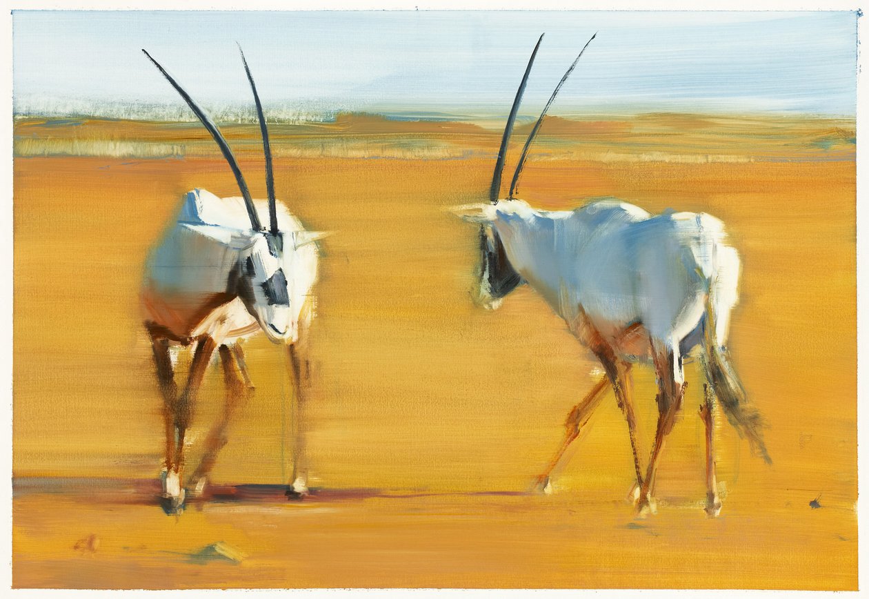 अरेबियन ओरिक्स का चक्कर, 2010 (कागज पर तेल) द्वारा मार्क एडलिंगटन