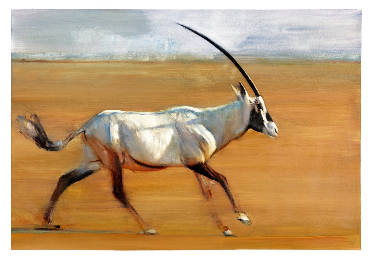 गैलपिंग ऑरेक्स, 2010 (कागज पर तेल) द्वारा मार्क एडलिंगटन