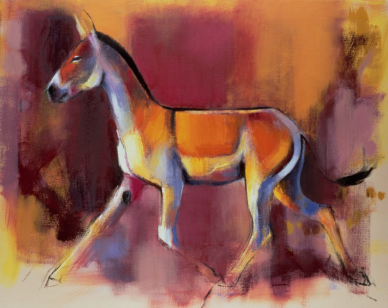 जंगली गधा, कच्छ का रण, 1996 द्वारा मार्क एडलिंगटन