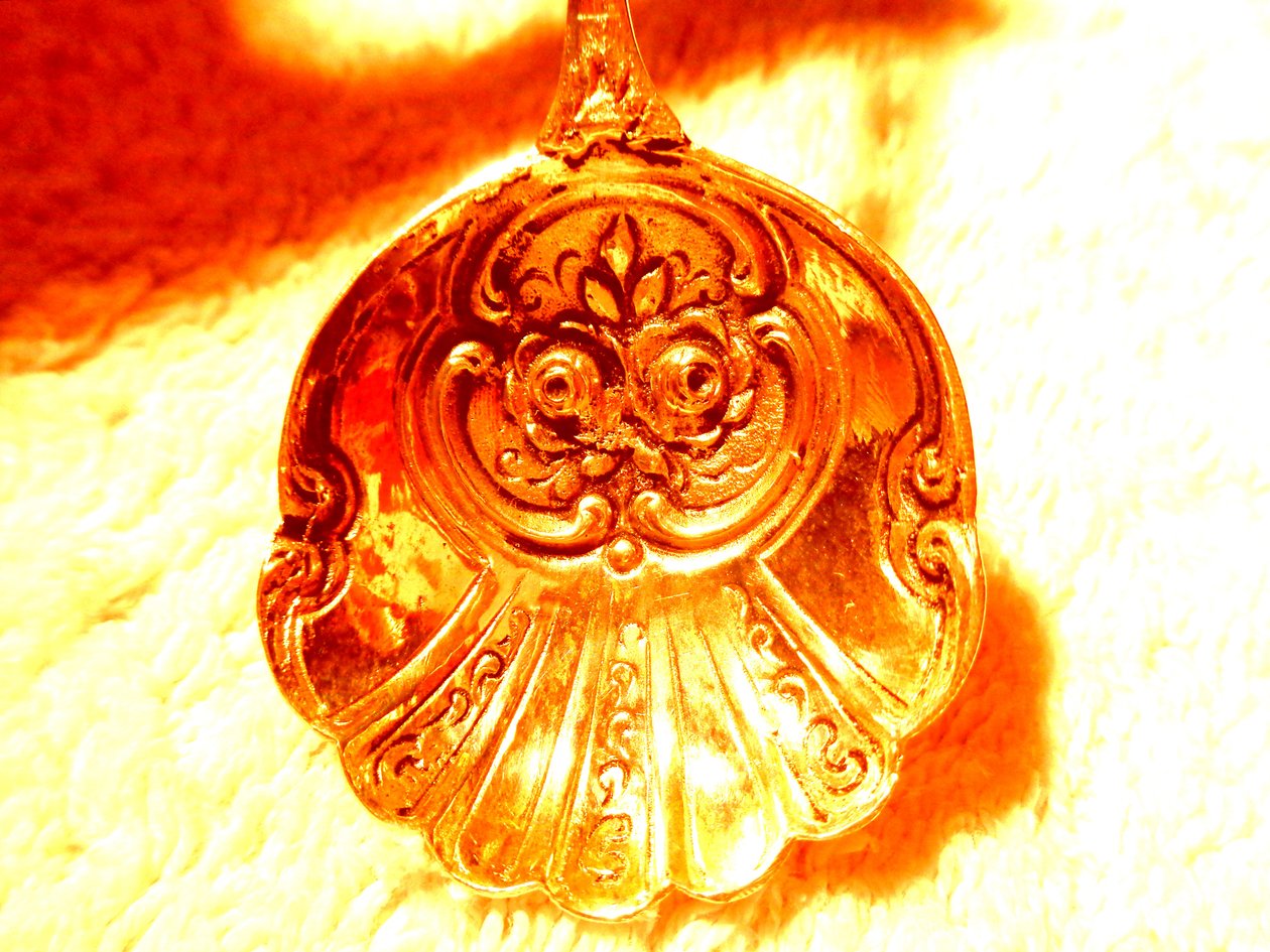  द्वारा मार्टिना कोनिट्ज़की