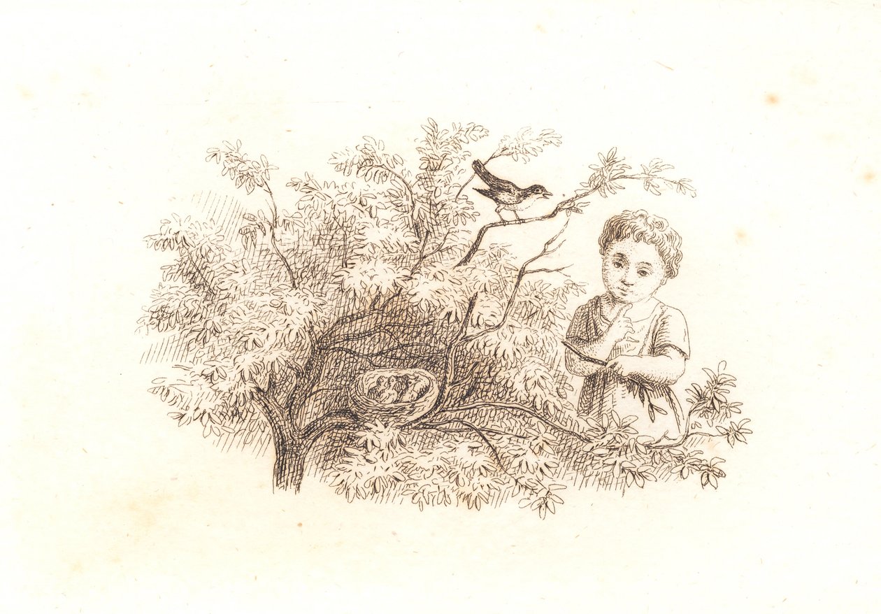 लेखा 1846-48 द्वारा मार्टिन रोरबी