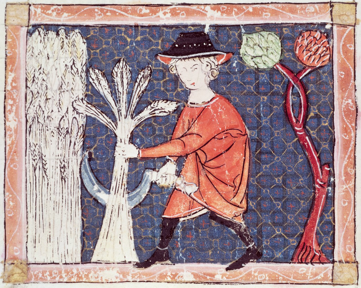 Fol.58v जुलाई: हार्वेस्ट द्वारा मैटफ़्रे एर्मेंगौट
