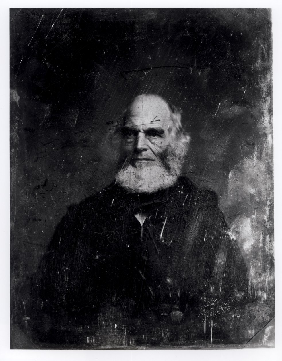 विलियम कुलेन ब्रायंट (1794-1878) c.1851-60 (डागरेरोटाइप) द्वारा मैथ्यू बी ब्रैडी