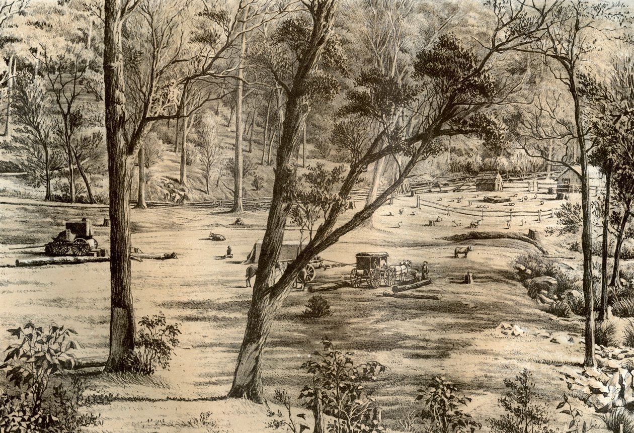 फ्री सेलेक्टर्स हट, ऑस्ट्रेलिया, 1879 द्वारा McFarlane और Erskine
