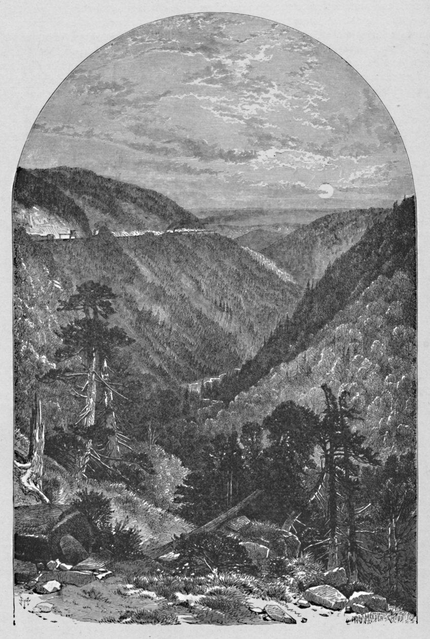 एलेग्रिपपस में देखें, 1883 द्वारा मीडर और चुब्बो