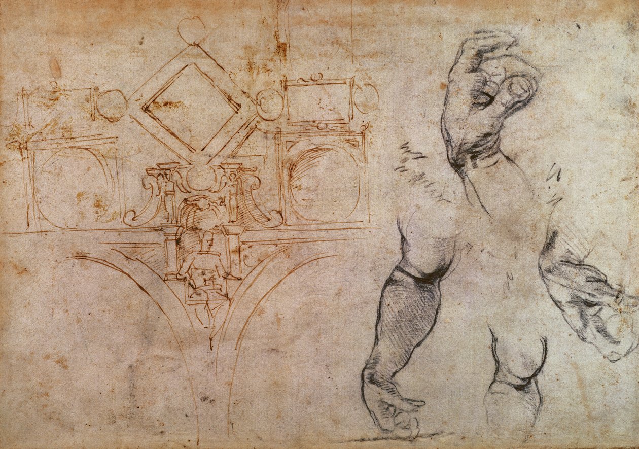 सिस्टिन चैपल सीलिंग के लिए योजना, c.1508 (कागज पर पेन und इंक और चॉक) द्वारा माइकल एंजेलो बुओनारोती