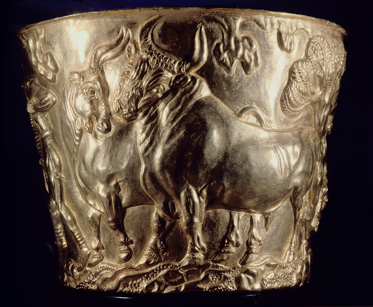 कप, एक घरेलू बैल का चित्रण, वाफियो, स्पार्टा, स्वर्गीय मिनोयन I, c.1500 ईसा पूर्व (स्वर्ण) के शाही मकबरे में मिला (148825 भी देखें) द्वारा Minoan