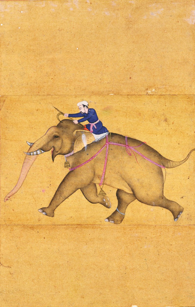 बड़े क्लाइव एल्बम से एक हाथी की सवारी करने वाला एक महावत (कागज पर रंग धोने के साथ रेखा खींचना) द्वारा मुगल स्कूल