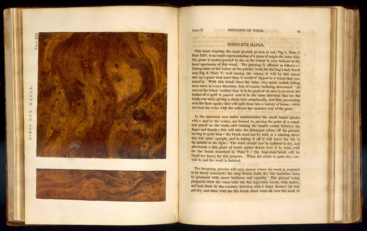बर्ड्स आइ मेपल, &39;इमिटेशन ऑफ वुड&39; से प्लेट XIII, 1827 द्वारा नाथनियल व्हिटॉक