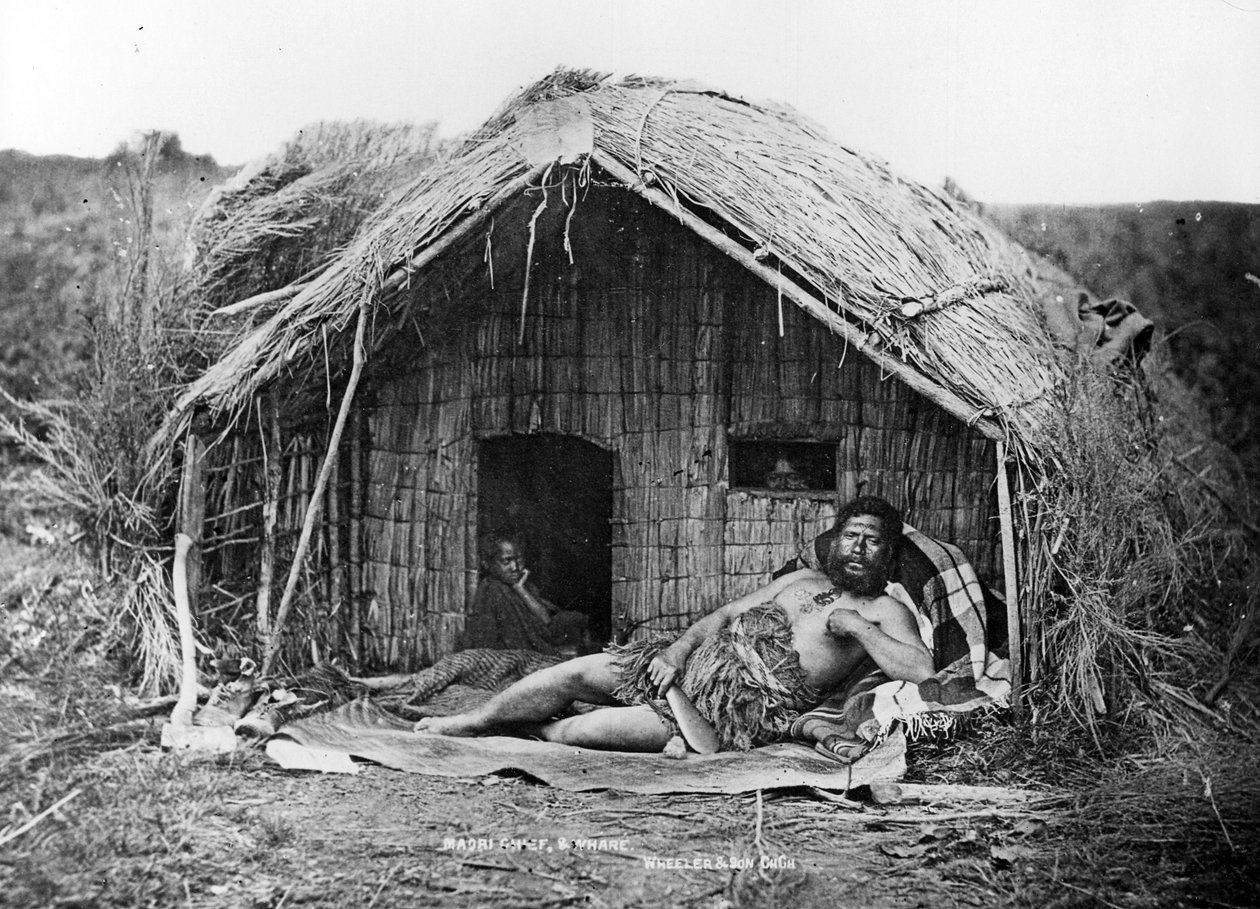 मूल प्रमुख और हाउस, c.1863-80 द्वारा न्यूजीलैंड फोटोग्राफर