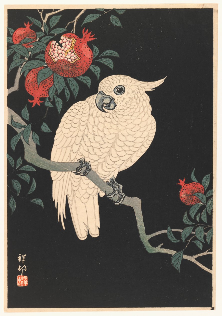 व्हाइट पैरट और अनार, 1927-1989 (वुडब्लॉक प्रिंट) द्वारा ओहरा कोसों