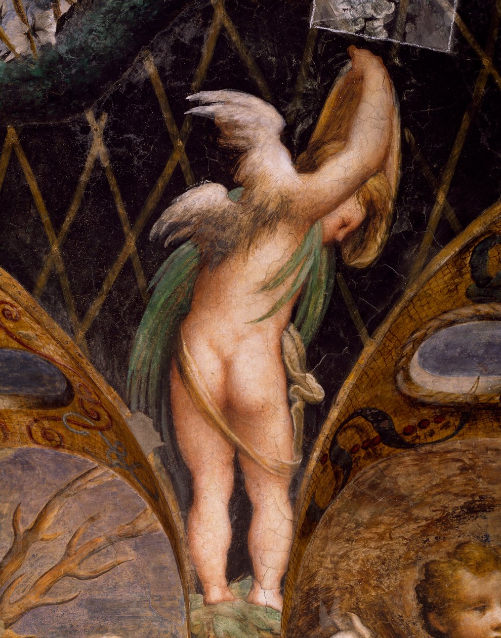 पुत्तो, मिथ ऑफ़ डायना और एक्टेऑन से द्वारा Parmigianino