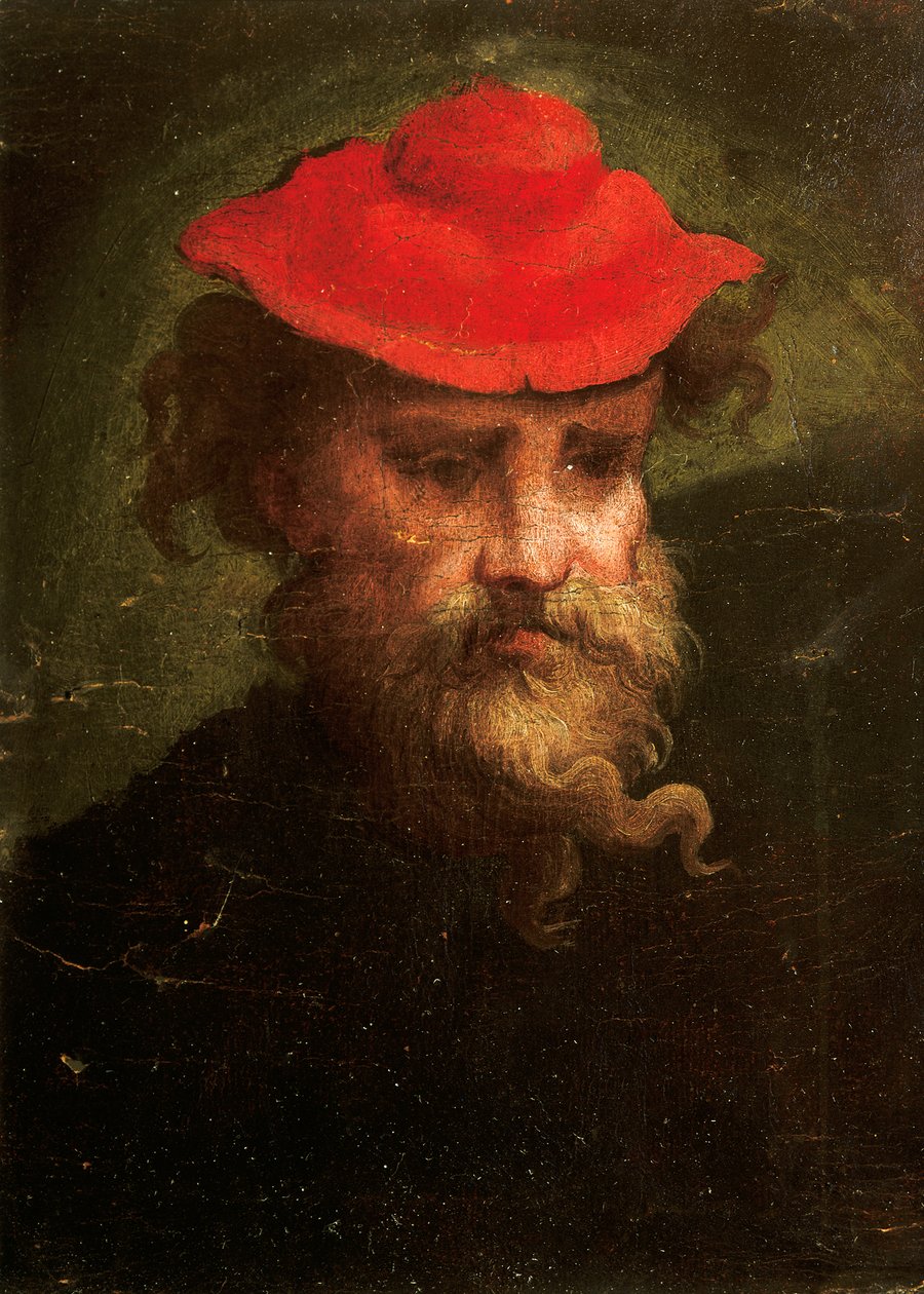 फ्रांसेस्को पार्मिगियानो द्वारा स्व-चित्र (1503-1540) द्वारा Parmigianino
