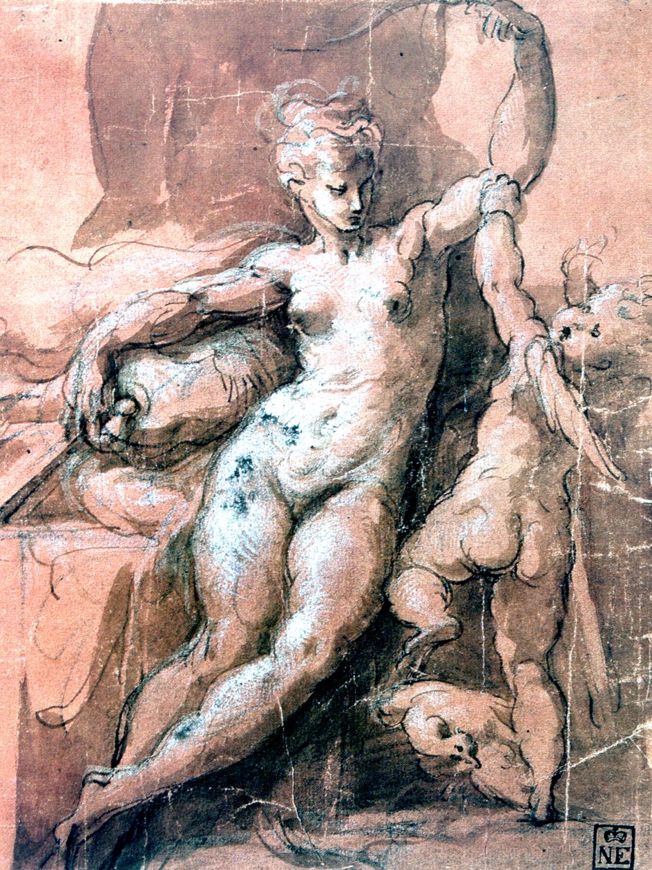 वीनस एंड चाइल्ड, c1513-1540 द्वारा Parmigianino