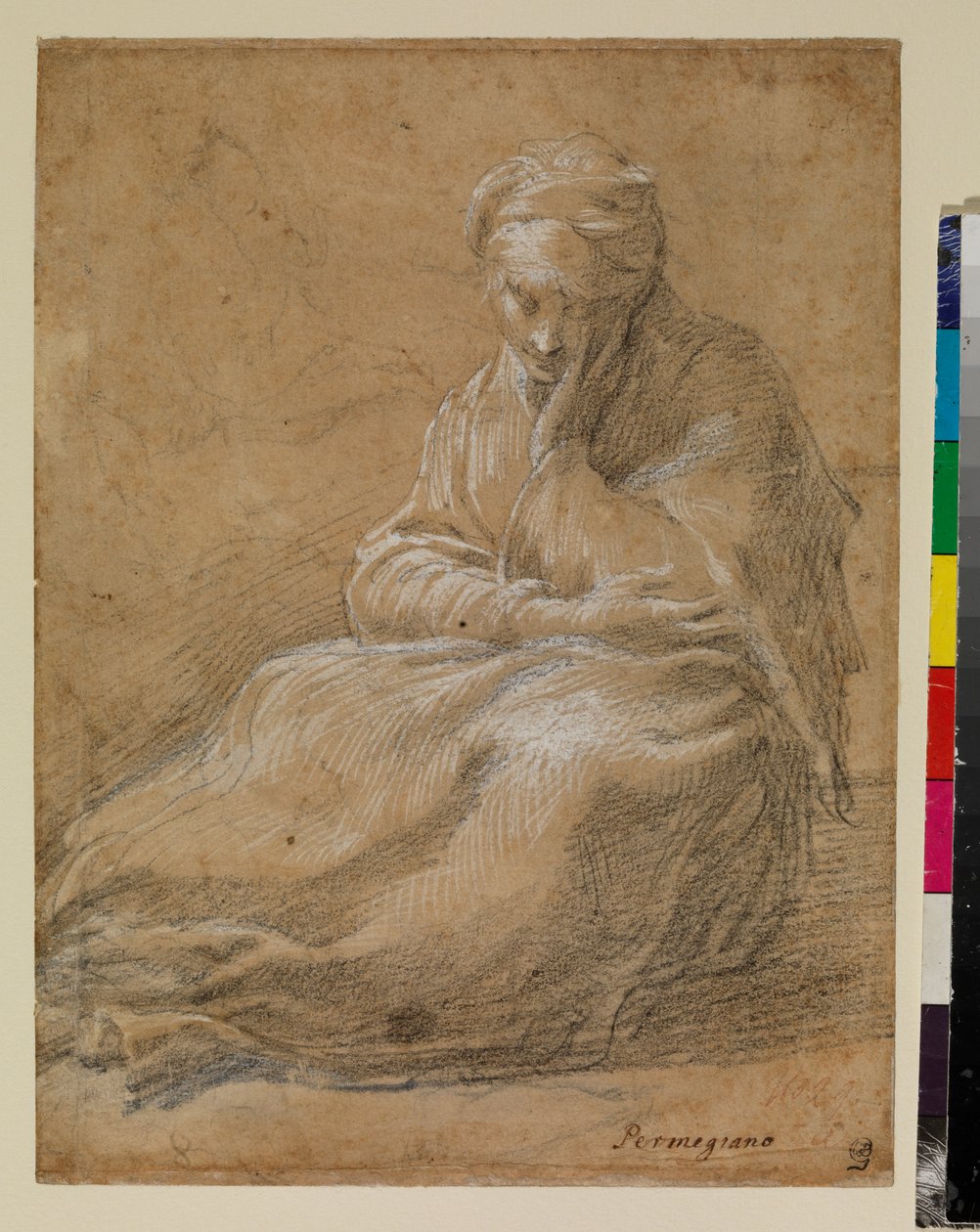 महिला जमीन पर बैठ गई द्वारा Parmigianino