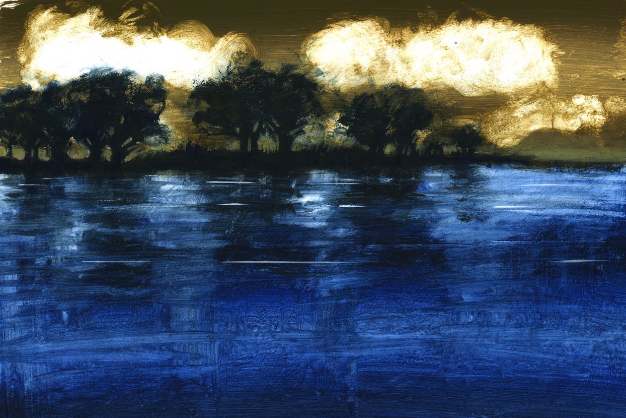 बाढ़, 2009 (बोर्ड पर एक्रिलिक) द्वारा पॉल पॉविस