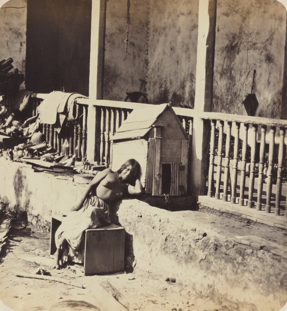 गारवेल मार्टीनिक कुत्ता, 1870 के दशक। द्वारा पॉल एमिल मिओटी