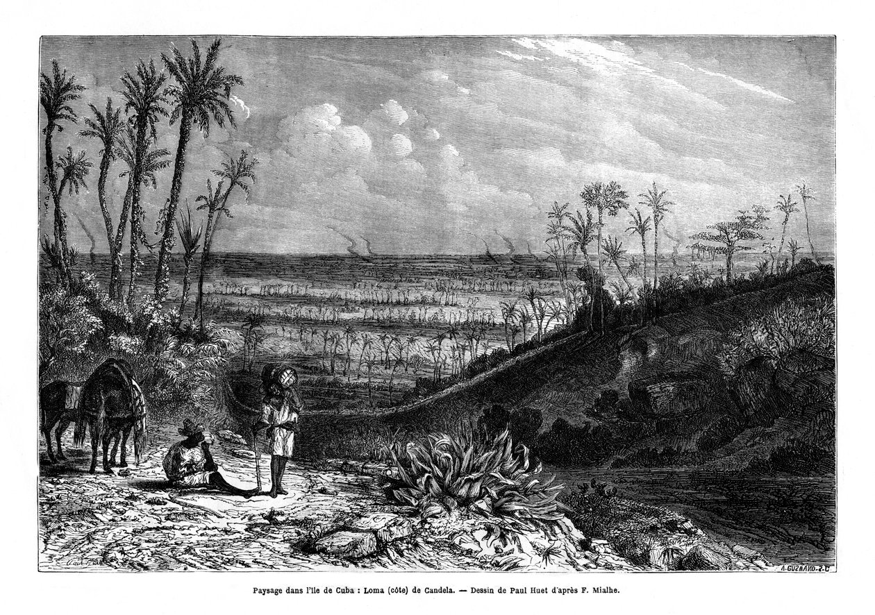 क्यूबा के द्वीप में लैंडस्केप, 1859 द्वारा पॉल हूएट