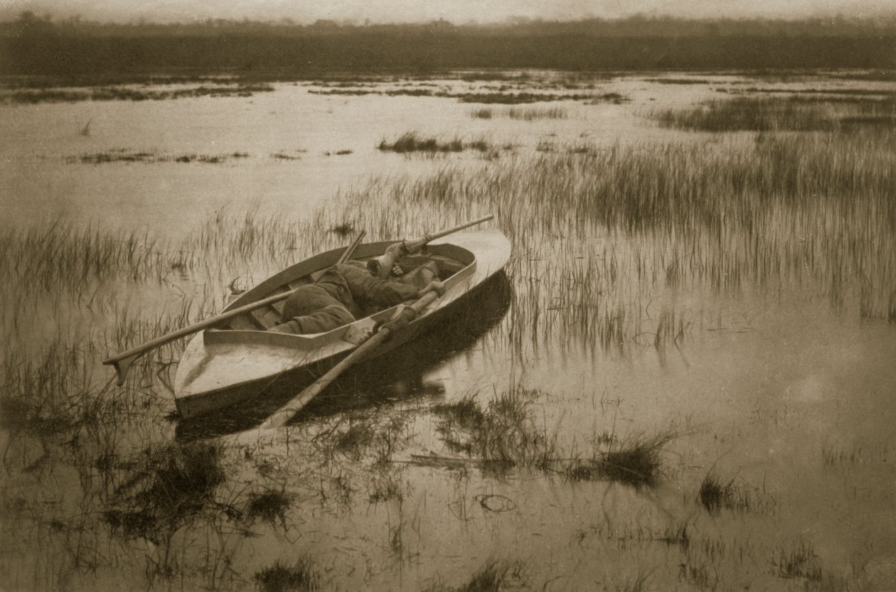 गनर ने नॉरफ़ॉक ब्रोड्स पर Fowl, Life and लैंडस्केप को जागृत किया, c.1886 द्वारा पीटर इमर्सन और थॉमस गुडॉल