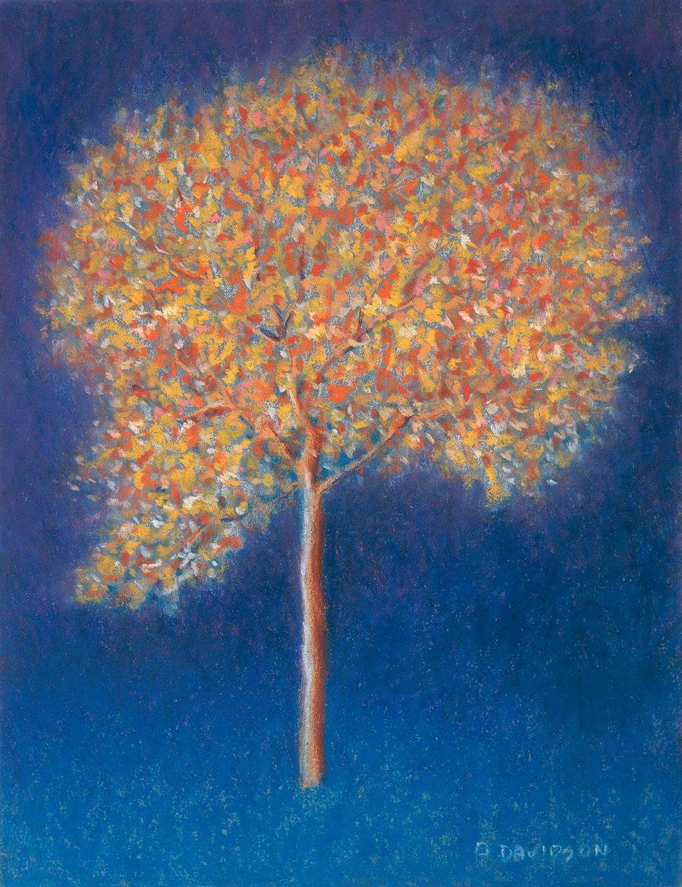 ट्री इन ब्लॉसम, 1997 द्वारा पीटर डेविडसन