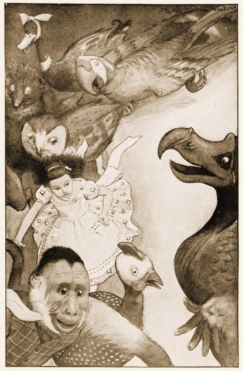 "द कॉकस-रेस", लेविस कैरोल के लिए चित्रण, वंडरलैंड, 1901 में एडवेंचर्स द्वारा पीटर नेवेल