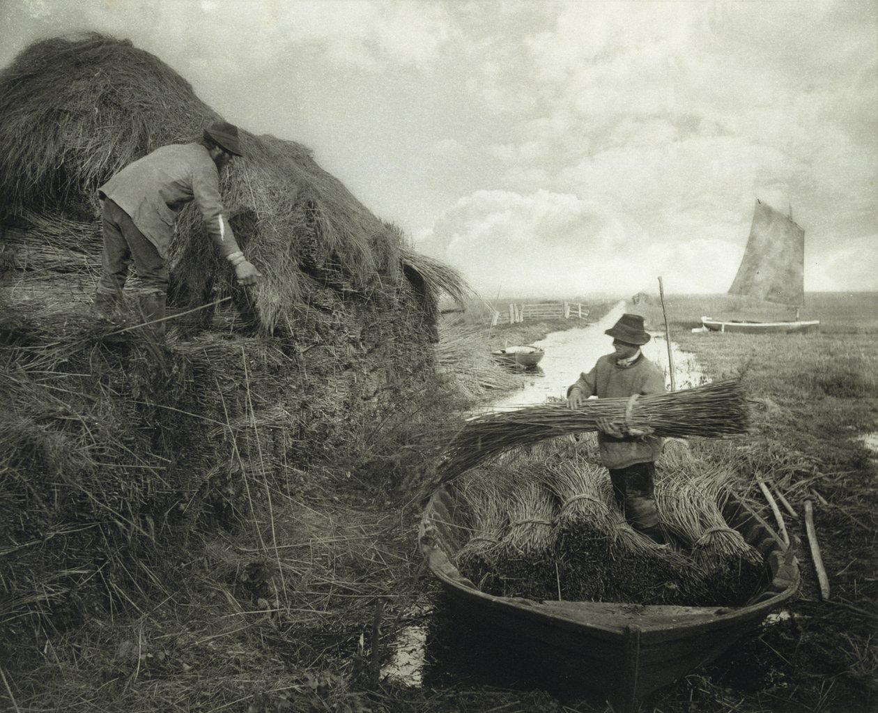 रिकिंग द रीड, c.1885 (प्लैटिनम प्रिंट) द्वारा पीटर हेनरी इमर्सन