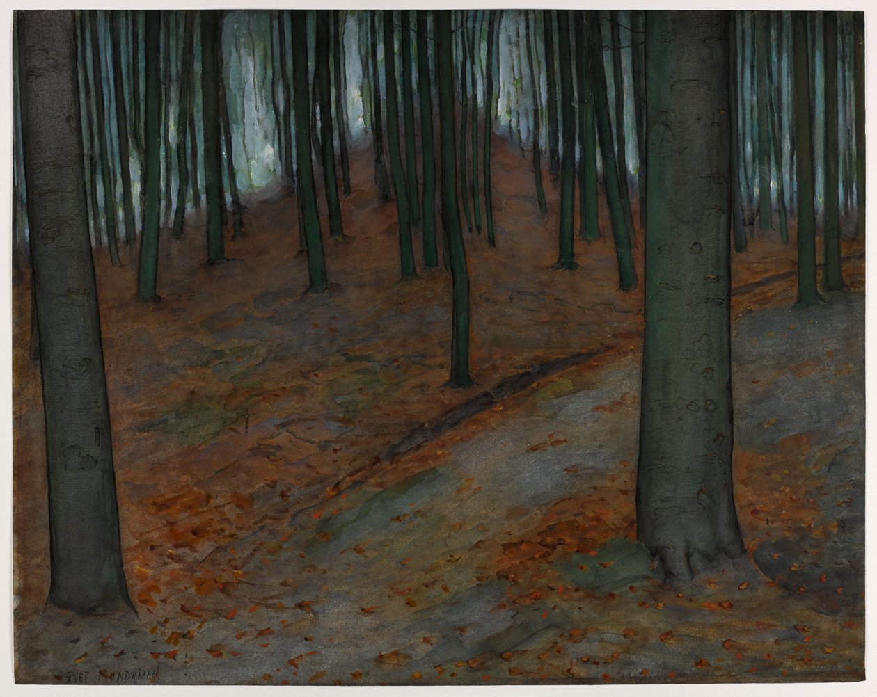 बीच पेड़ के साथ लकड़ी, c.1899 (कागज पर wc और gouache) द्वारा पीट मोंड्रियन