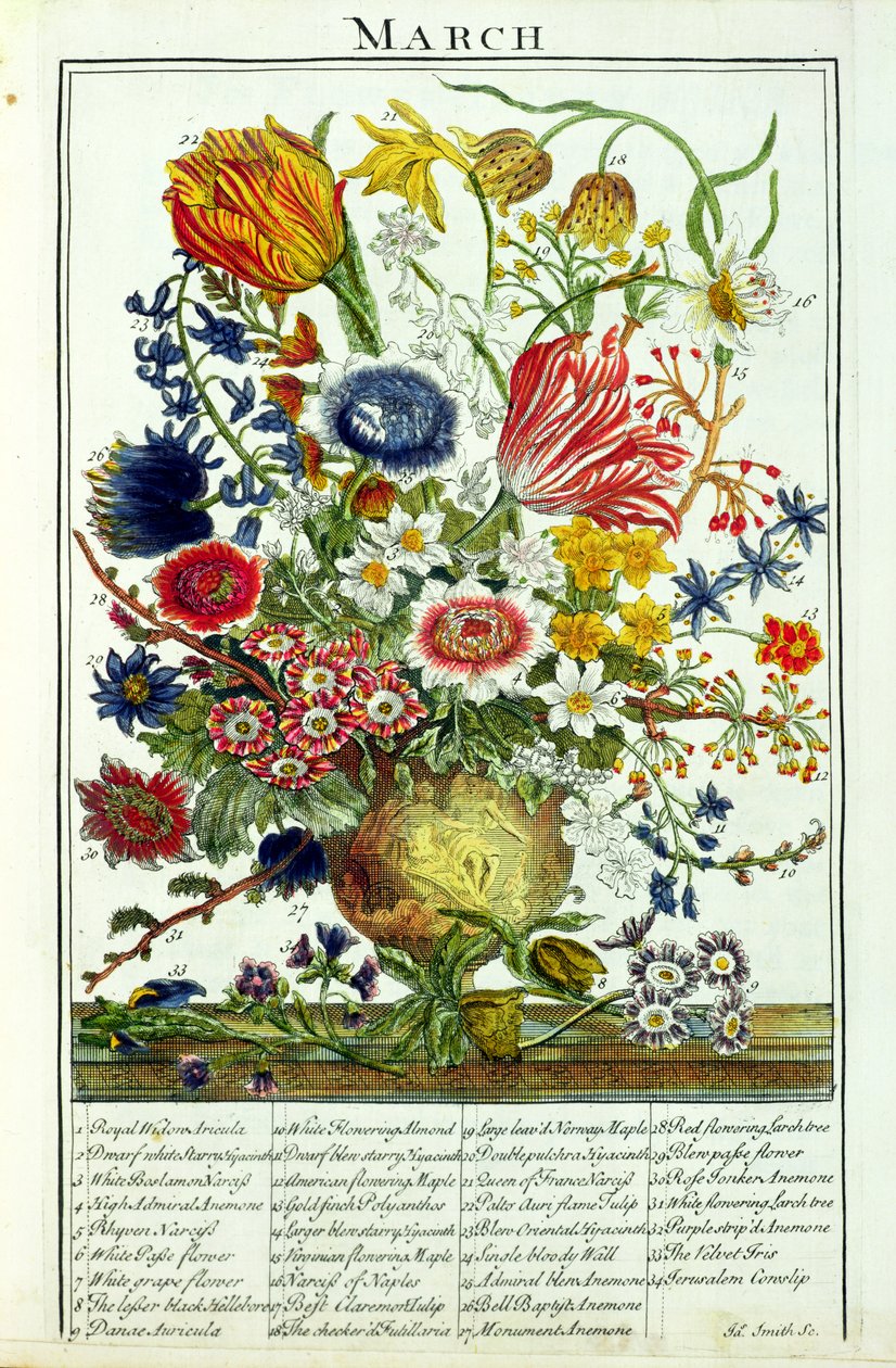 मार्च, रॉबर्ट फुबर द्वारा &39;द फ्लावर गार्डन डिस्प्ले&39; (c.1674-1756), जेम्स स्मिथ, पब द्वारा उकेरा गया। 1732 द्वारा पीटर कास्टेल्स