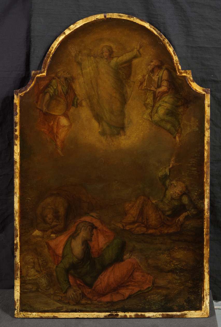  द्वारा पोलिडोरो दा (attr. to) Caravaggio