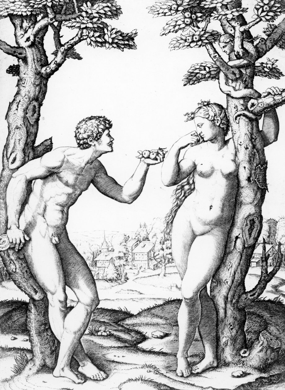 एडम और ईव, मार्केंटोनियो द्वारा उत्कीर्ण, c.1520 द्वारा राफेलो सानज़ियो राफेल