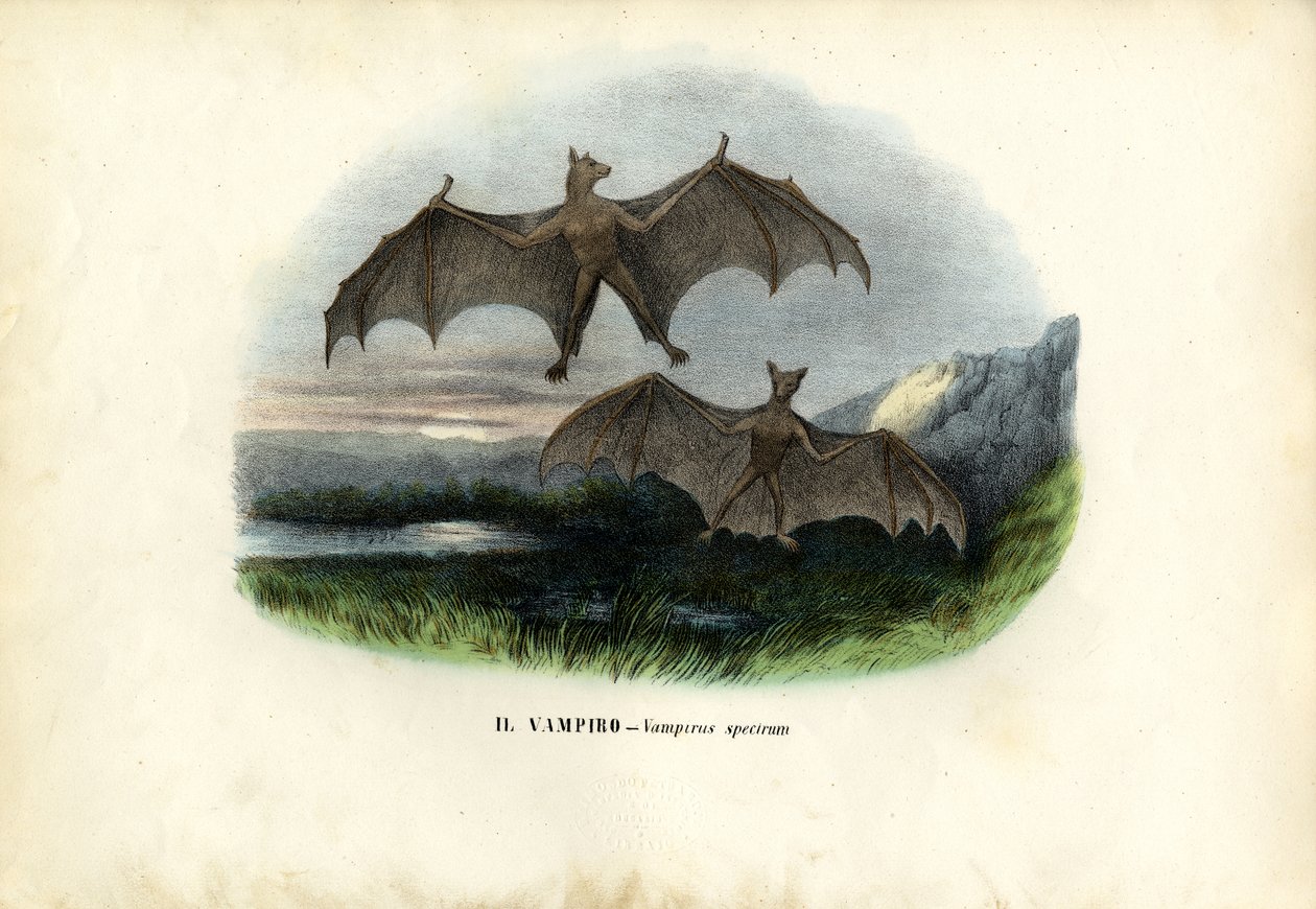 स्पेक्ट्रल बैट, 1863-79 द्वारा रायमुंडो पेट्रारोइया