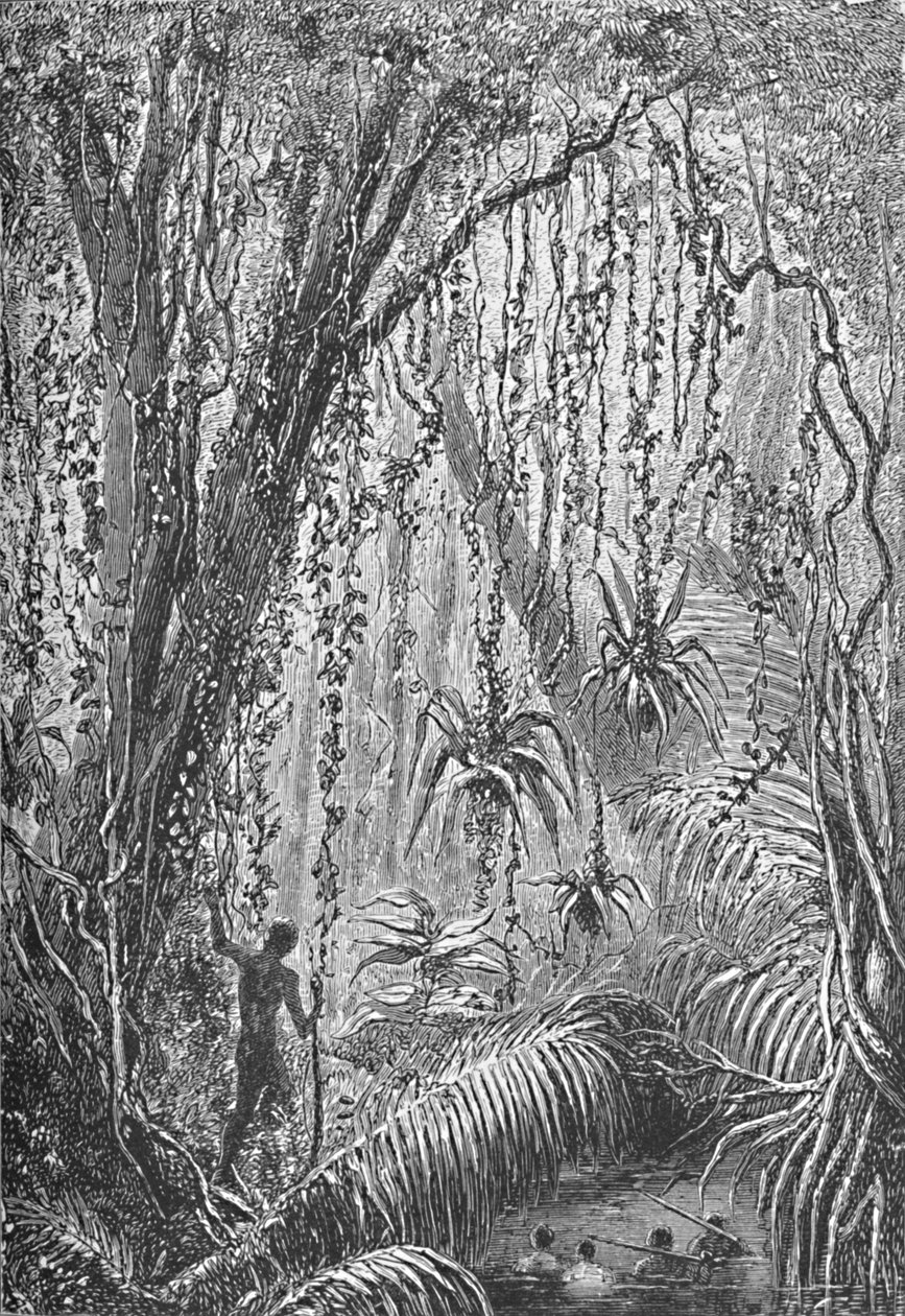 ब्राजील के वन, c1885 1890 द्वारा रॉबर्ट टेलर प्रिटचेट
