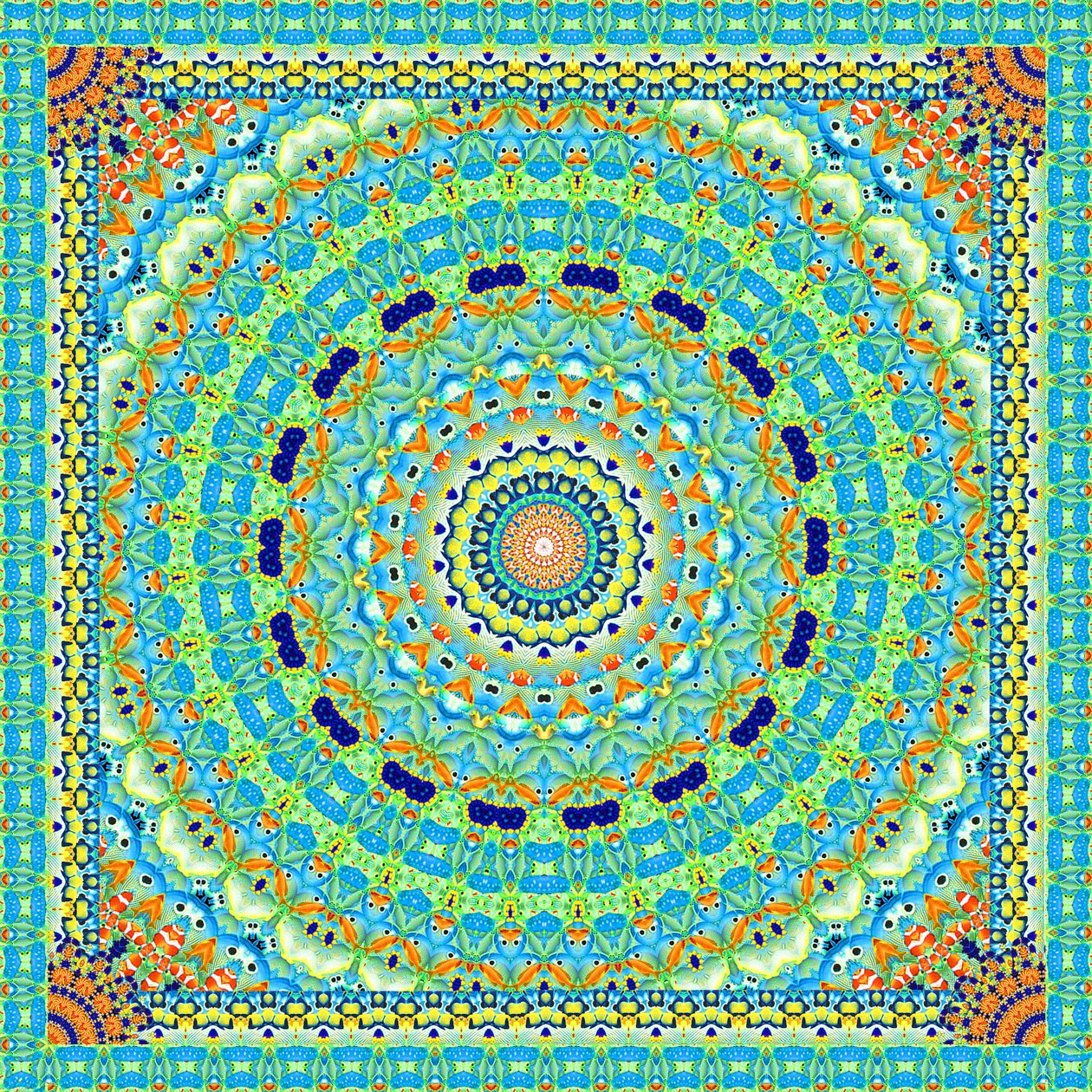 ट्रॉपिकल फिश व्हील टाइल द्वारा रॉबिन पार्कर