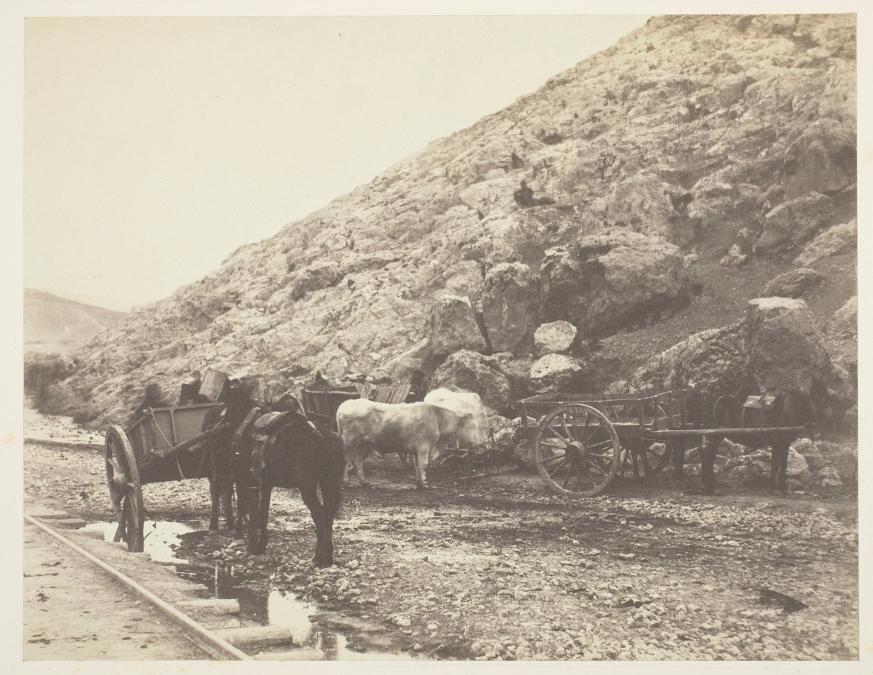 मवेशी और गाड़ियाँ, 1855 में बालाक्लाव को छोड़कर। द्वारा रोजर फेंटन