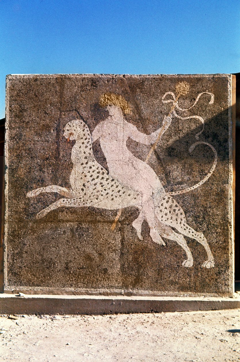 Bacchus राइडिंग अ लेपर्ड, 1st-2nd शताब्दी ईस्वी द्वारा उपन्यास