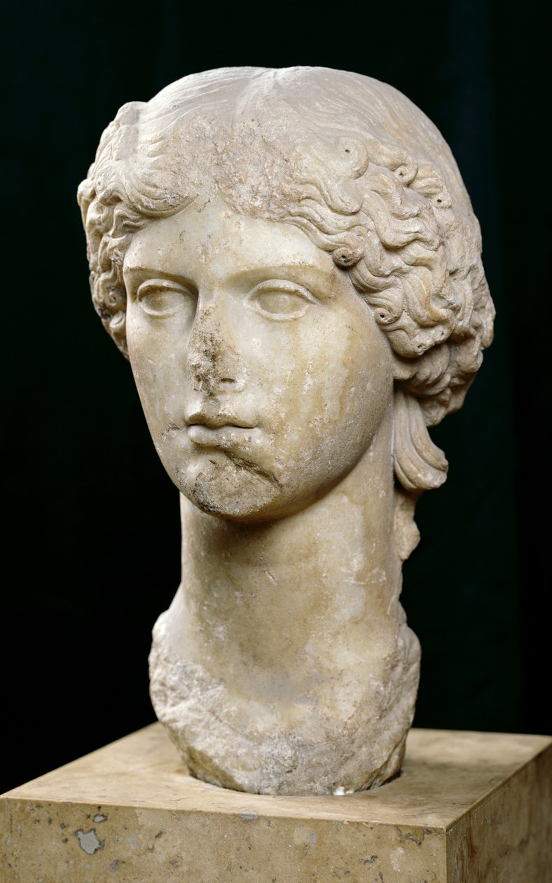 एग्रीपिना द बस्ट ऑफ़ द एल्डर (c.14 BC-33 AD) c.37-41 AD (संगमरमर) द्वारा उपन्यास