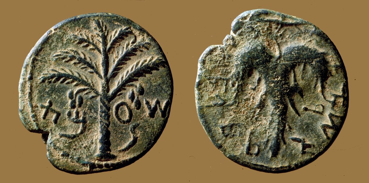 रोम के खिलाफ बार-कोखबा विद्रोह की याद में सिक्के, 132-133 (कांस्य) द्वारा उपन्यास