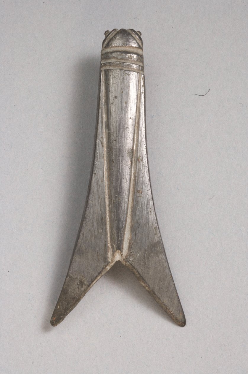 एक सिकदा का तंतु (टिनडेड कांस्य) (325638 भी देखें) द्वारा उपन्यास