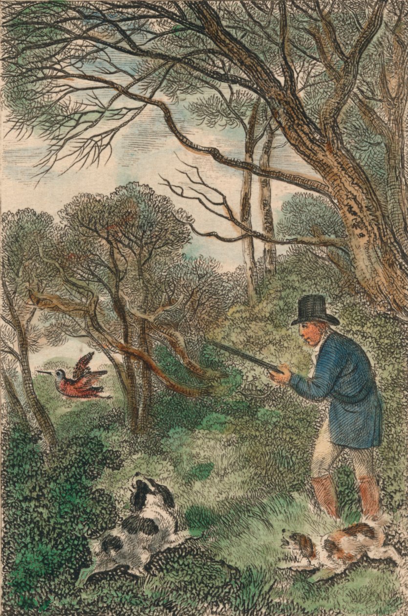 वुडकॉक शूटिंग, 1819। द्वारा सैमुअल हॉविट