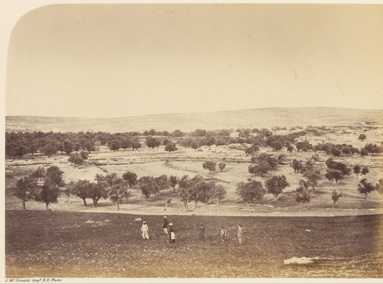 शहर का विहंगम दृश्य- शहर का सामान्य दृश्य undc। उत्तर से द्वारा सार्जेंट जेम्स एम। मैकडॉनल्ड्स