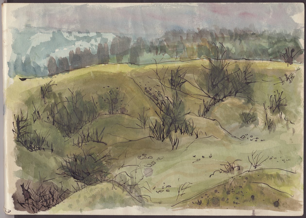 झाड़ियों के साथ लैंडस्केप, इटली, c1950। द्वारा शर्ली मार्खम
