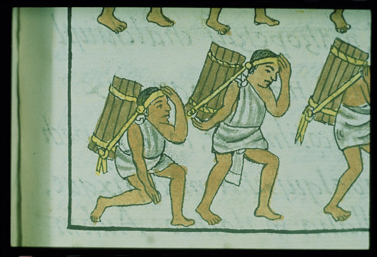 सुश्री पालत। 218-220 बर्नार्डिनो डे सहगुन द्वारा &39;फ्लोरेंटाइन कोडेक्स&39; से cx540-85 बुक IX एज़्टेक पोर्टर्स द्वारा स्पेनिश स्कूल