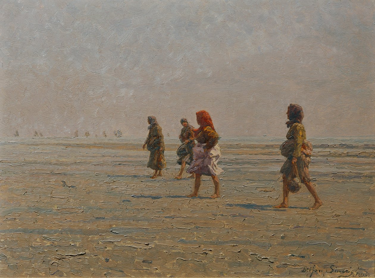  द्वारा स्टीफन सिमोनी