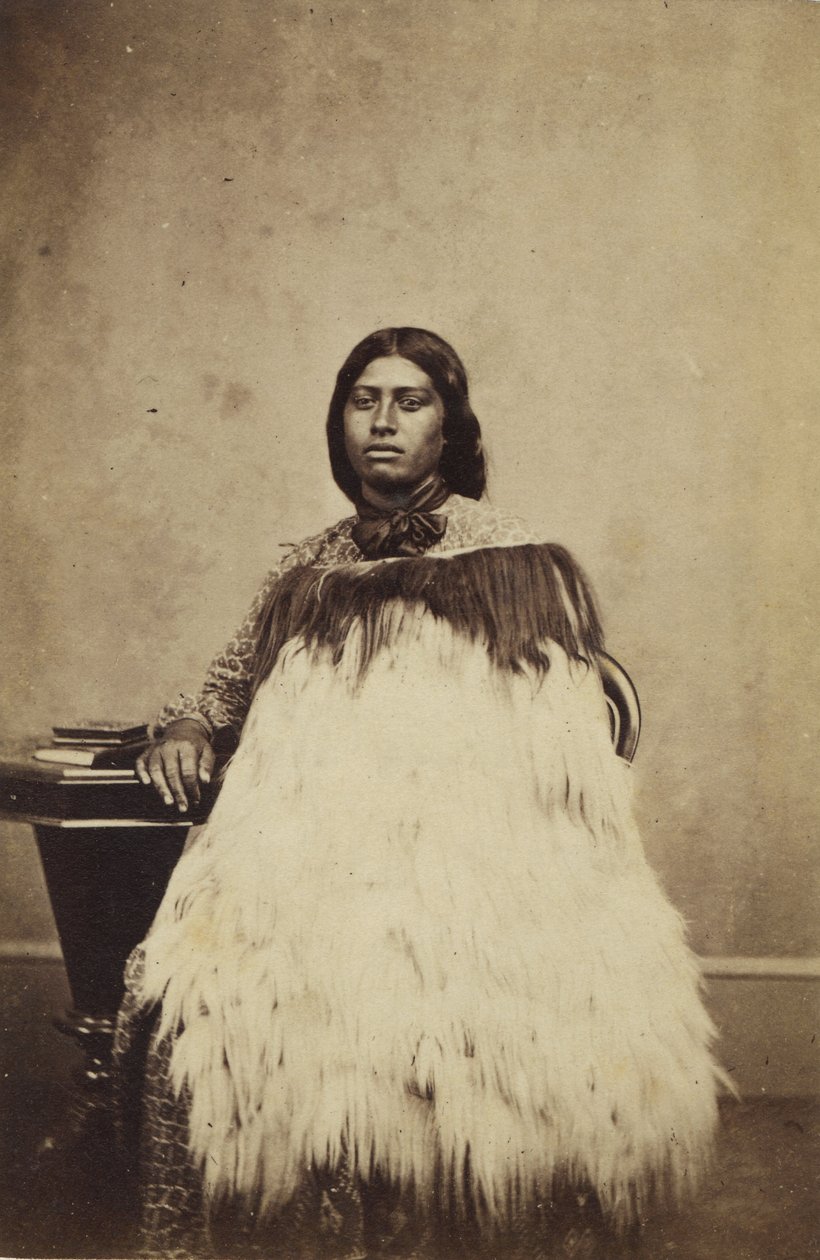 पोर्ट्रेट, c.1895 (एल्बम प्रिंट) द्वारा हंस और Wrigglesworth