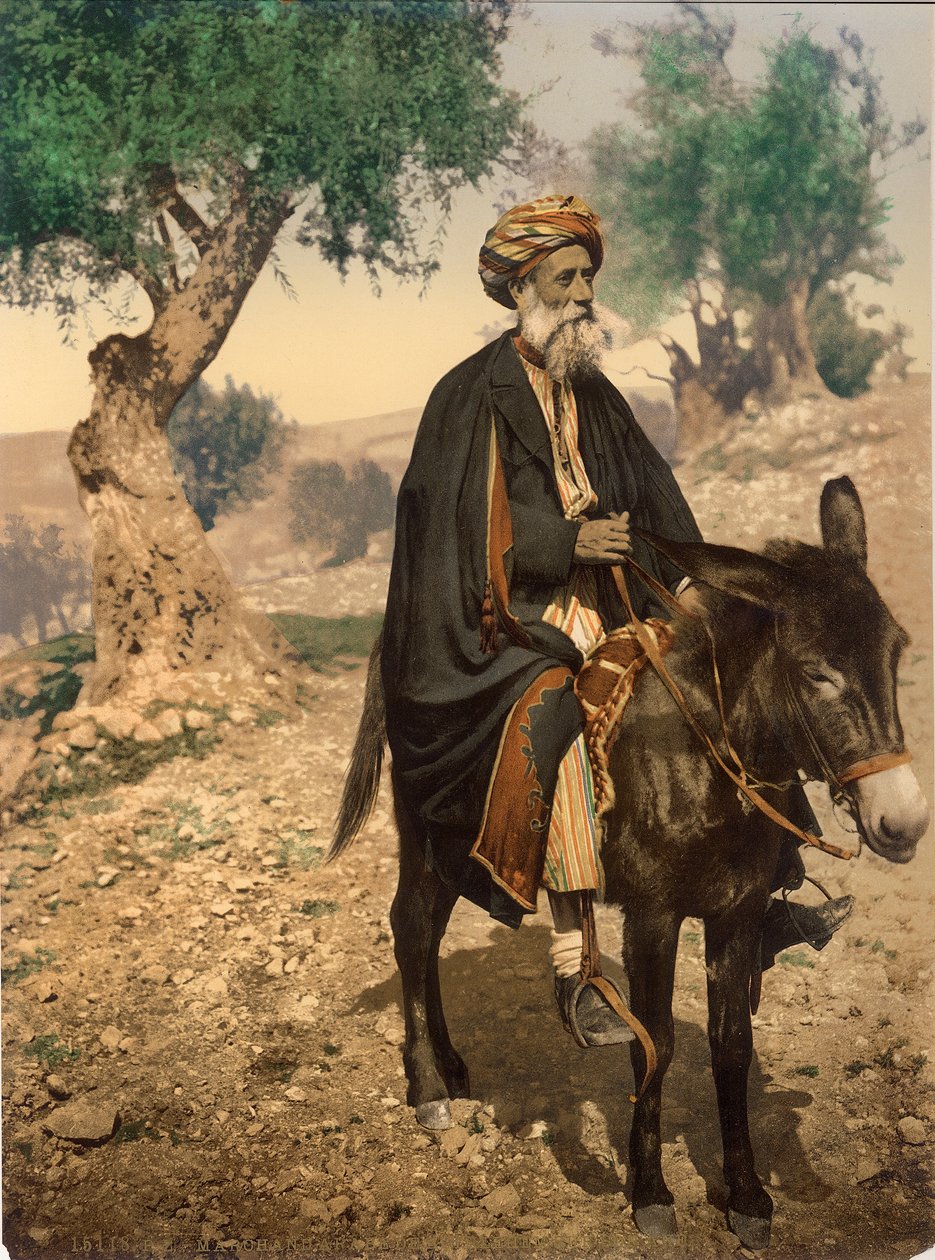 अपने गधे पर बेथलहम का अरब आदमी, c.1880-1900 (फोटोक्रोम) द्वारा स्विस फोटोग्राफर