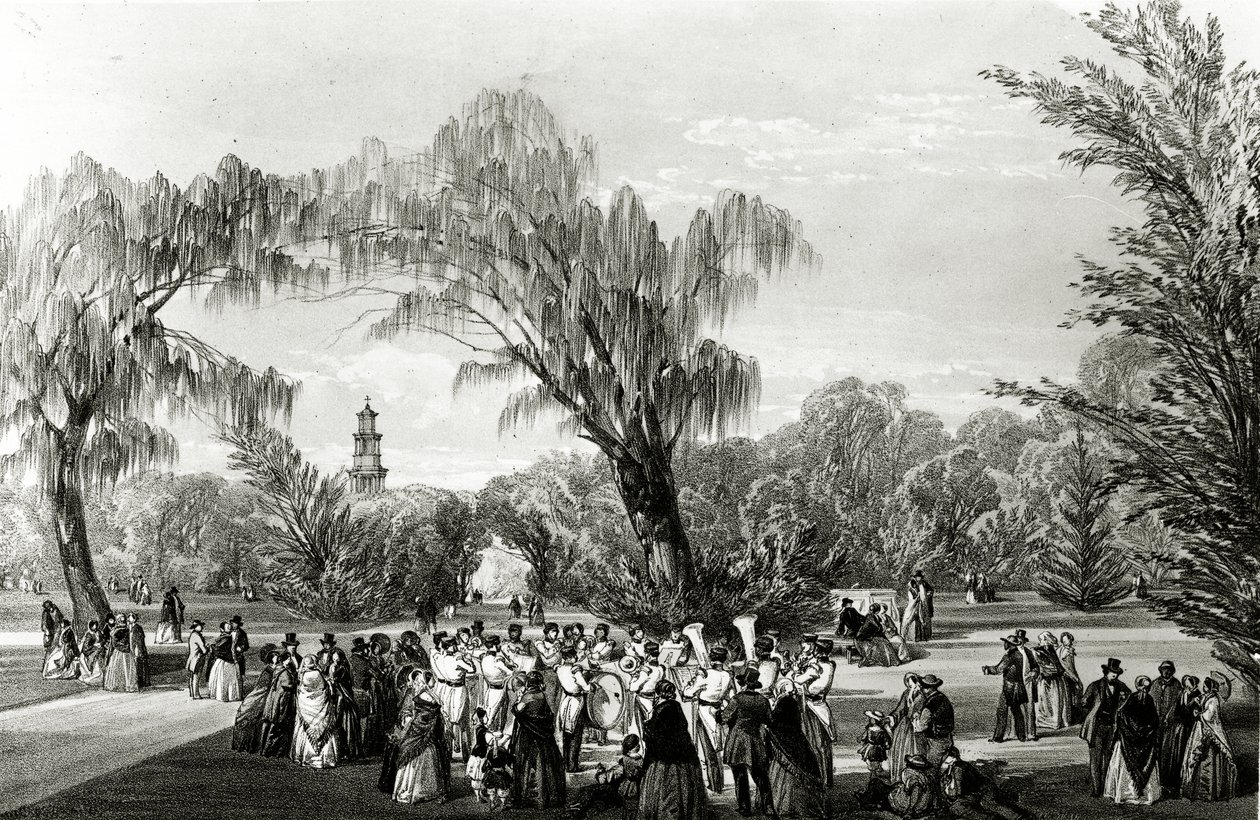 वानस्पतिक उद्यान, केप टाउन, डब्ल्यू। सिम्पसन द्वारा बनाया गया, c.1850s द्वारा थॉमस विलियम बॉलर