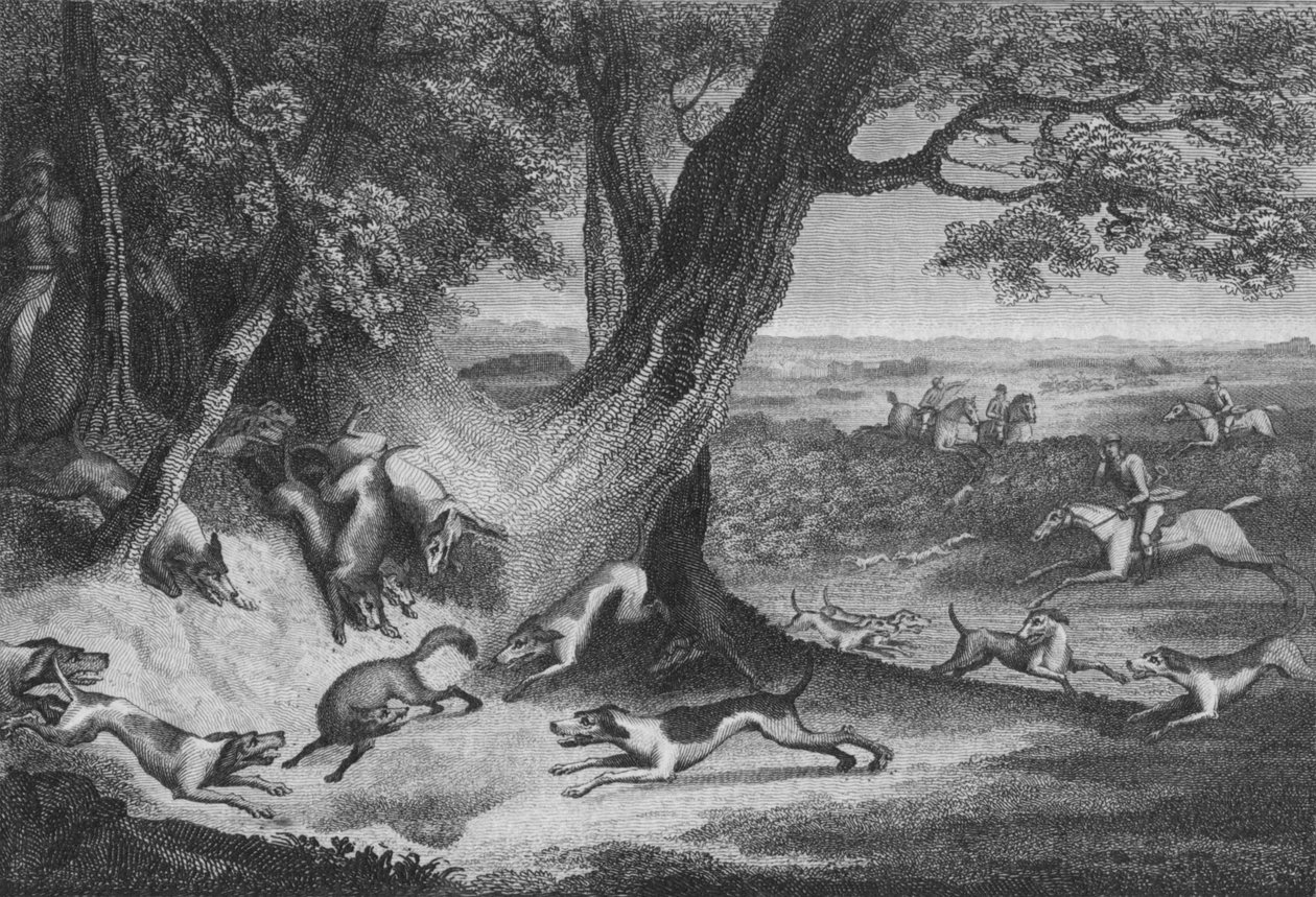 फॉक्स की मृत्यु, 1793। द्वारा थॉमस कुक