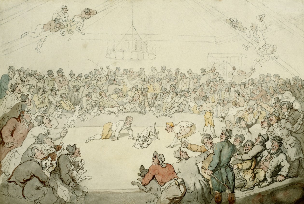 वेस्टमिंस्टर पिट, 1798 द्वारा थॉमस रोलैंड्सन